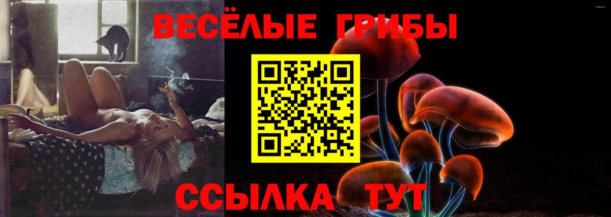 Галлюциногенные грибы прущие грибы  Псилоцибиновые грибы MAGIC MUSHROOMS  купить   Ишимбай  Вход с VPN 